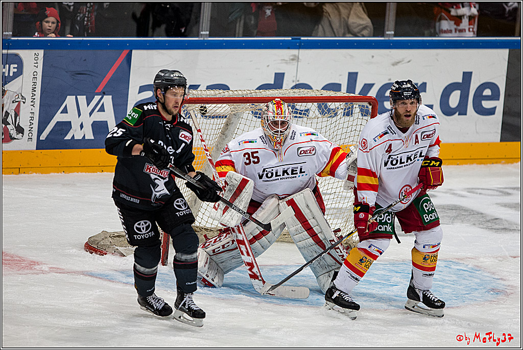 Koelner Haie - Duesseldorfer EG, 18.12.2016